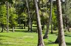 3.9 ac Land at Kikambala Beach - 6