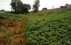Land at Red Hill Rd - 5
