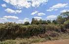 1 ac Land in Nyeri - 5