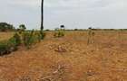 Land in Kilifi - 5