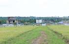 Residential Land in Malaa - 9