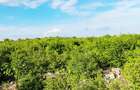 Land at Watamu - 6