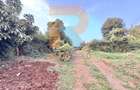 1.25 ac Land at White House Estate - 10