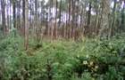 Land at Upper Matasia - 4