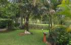 4 Bed Townhouse with En Suite at Rossylin - 7