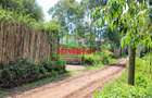 0.05 ha Residential Land at Kamangu - 6