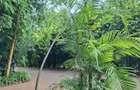 5 Bed Townhouse with En Suite at Karen - 14