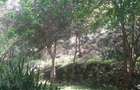 0.75 ac Residential Land at Naivasha Road - 3
