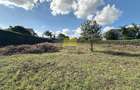 0.5 ac Land in Muthaiga - 1