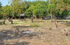 Land in Watamu - 15