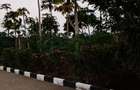 3 Bed House with En Suite at Kilifi Tezo - 7