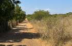 175 ac Land at Kilifi Creek - 16