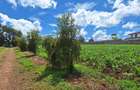 1 ac Residential Land at Tigoni - 13