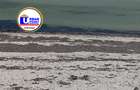 Land in Watamu - 6