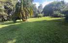 1.22 ac Residential Land in Kitisuru - 5