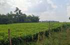 Residential Land in Tigoni - 2