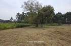 0.5 ac Land in Garden Estate - 3