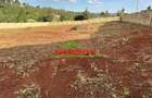 0.46 ha Residential Land at Ondiri - 9