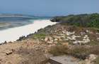 20 ac Land at Kilifi- Chumani Beach - 1