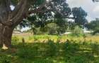 5 ac Land at Mavueni - 2