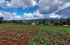 Land at Kibiko - 12