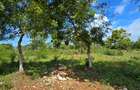 7 ac Land at Kikambala - 6