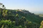 505 ha Residential Land at Kisumu Riat - 9