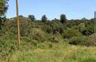500 m² Residential Land at Ruiru-Githunguri Road - 16