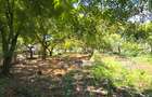 1 ac Land at Hemingways - 10