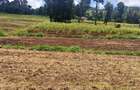 Land at Kibirichia - 16