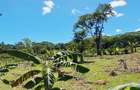 Land at Msambweni - 11