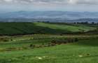 314 ac Land at Timau - 9