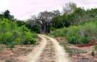 10 ac Land at Kuruwitu Vipingo - 4
