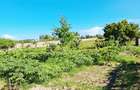 Land at Bamburi Utange - 6
