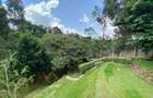 5 Bed Villa with En Suite at Kitisuru - 3