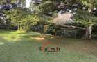 4 Bed House with Staff Quarters in Kitisuru - 3