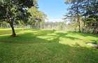 3 Bed House with En Suite in Tigoni - 39