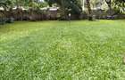 5 Bed Townhouse with En Suite in Runda - 2