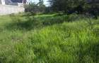 0.25 ac Residential Land in Ongata Rongai - 5