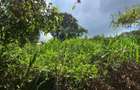 Commercial Land in Kitisuru - 2