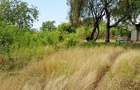 Land at Diani Beach Road - 9