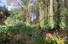 1 ac Land in Lavington - 4