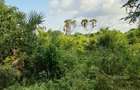 Land at Tiwi Near Diani South Coast - 16