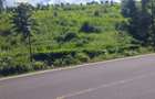 Land in Tigoni - 1