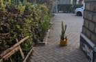 4 Bed House with En Suite at Kitengela Town - 15