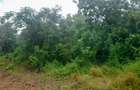 Land in Diani - 3