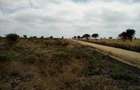 Land at Umma University - 4
