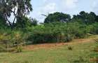 Land at Tiwi Near Diani South Coast - 5