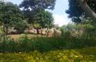 Residential Land at Runda Evergreen - 1