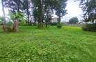 0.5 ac Land at Mumbi Road - 4